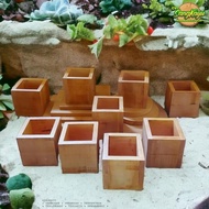 Wooden storage box 15x15x8 cm Wooden box tray storage box - 8 x 8 cm