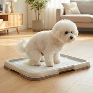 Sumiho Pet Diapers with Fragrance for Bichon Frise