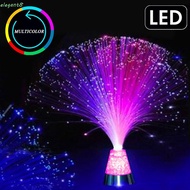 ELEGANT Creative Fibre Optic Light Ice Star Novelty Lighting Led Lamp Home Supplies Gypsophila Gift Discoloration Colorful Decoration Night Light/Multicolor