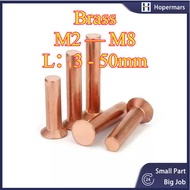 Copper countersunk head rivets GB869 percussion type flat head flat cone head solid rivets Copper d 