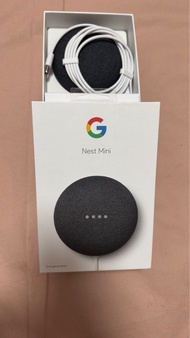 Google Nest Mini