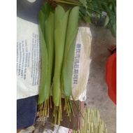 Daun lirik/ Daun lerek 10 helai
