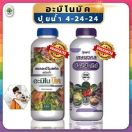 อะมิโนมิค + ปุ๋ยน้ำ 4-24-24 บำรุงต้น เร่งราก เร่งดก เร่งผล เขียวเร็ว #สูตรปุ๋ยเร่งต้นไม้ให้โตเร็ว