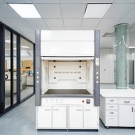 Cleanroom Portable Ductless Acid Resistant Chemical Hood Laboratory Fume Cupboard Laminar Flow Steel