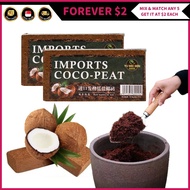 (FOREVER $2) Compressed Coco Peat Block Brick Plant Soil Vegetable Flowers Fruits Gardening Tools CO