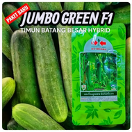 NEW PACK 50g JUMBO GREEN F1 Biji Benih Timun Batang Besar Cap Panah Merah Hybrid Cucumber Seeds East