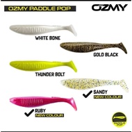 OZMY PADDLE POP 10 CM AND HOOK