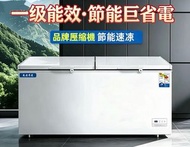 冰櫃Freezer 全冷凍家用冷藏冷凍可切換 商用大容量 臥式雙溫冰櫃Freezer