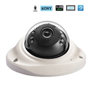 Hamrolte IP Camera H.265 SONY IMX307 Senor 1080P Vandal-proof Dome Camera Audio Record Motion Detect