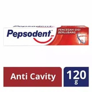 Pepsodent Tooth Paste 120 g