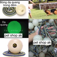 Luminous rubber ball toy for dogs