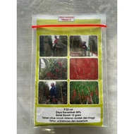 Benih cabe AWE ACEH 10 gram - Cabe Merah Keriting AWE ACEH - Bibit