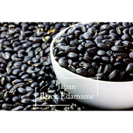 Japan Black Edamame seeds - 30 seed 黑枝豆 Kuromame - Mango Garden