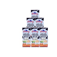 [Paket isi 6] Cimory UHT Milk Marie Biscuits 250ml