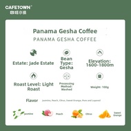 CAFETOWN | Panamanian Geisha Single Origin Coffee Beans 100g