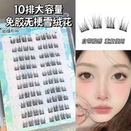 eyelash magnetic eyelash Percambahan bulu mata Shangpin, edelweiss tanpa batang berkapasiti besar, b