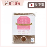 OBORO TOWEL - 【日本製】 大好き宣言 獨立包裝吸水量UP浴巾 呎吋60x120cm (棕色)