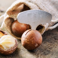 ROASTED MACADAMIA NUTS 500 GRAMS ROASTED MACADAMIA NUTS