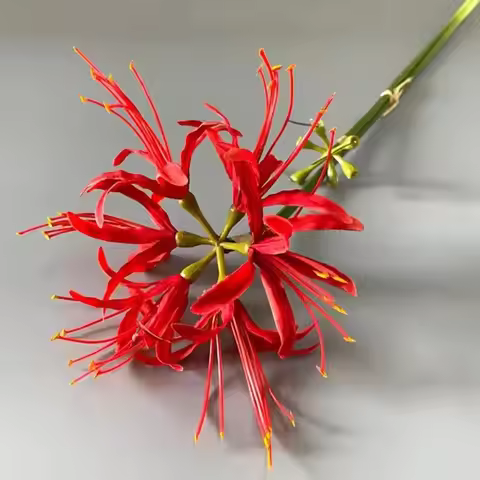 Artificial Red Spider Lily Silk Flowers with Long Stem Home Table Decor Paramita Lycoris Radiata Man