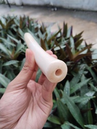 Once pipa cangklong iga duyung pucuk super tebal 13-14cm melengkung