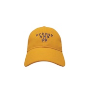 Stoned & Co. Incandescence Blaze Baseball Cap - Neon Orange