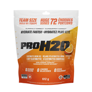 PVL PRO H2O 255 g.- 612 g. กรดอะมิโน BCAA + ELECTROLYTE + เกลือแร่