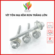 HCM Vít tôn mạ kẽm nhúng nóng ron trắng lớn đuôi cá đủ kích cỡ