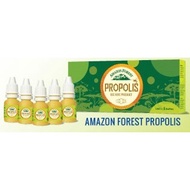 Amazon Forest Propolis Brazil Green Propolis