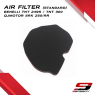 BENELLI TNT 249S/300 Air Filter Standard