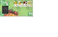 FDC 1998 Royal Selangor Pewter Premier Stamp First day cover Rare Fruits Buah Nadir