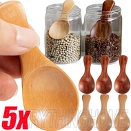 Wood Short Handle Spoons / Spice Condiment Honey Scoops / Short Handle Round Head Kids Spoon