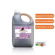 EveryDay Ume Hawthorn Drink Concentrate 浓缩山楂乌梅茶