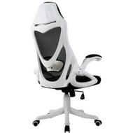 包送貨 -人體工學白框黑網尼龍腳電腦椅電競椅 顔色 白框黑網