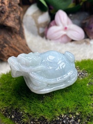🦋香港🇭🇰現貨🛍🦋天然翡翠A玉：           飄藍花龍龜擺件-正氣、化煞、招財                           👀 外表：🌄已附相片     🩻 起膠感十足        