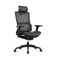 Ergohealth Series Ergonomic Office Chair / Home Office Chair / Study Gaming Chair / Ergonomics / Comfortable