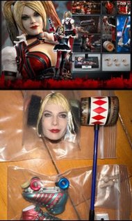 Hot Toys VGM41 BATMAN: ARKHAM KNIGHT HARLEY QUINN 小丑女 Figure 玩具狂熱 另送 MMS565 BIRDS OF PREY 頭雕 配件 武器
