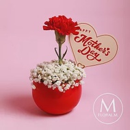 【Floral M】Coco Lady 胭脂紅單隻康乃馨鮮花盆花禮