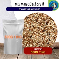 สุดยอด Mix Millet มิลเล็ตรวม อาหารนกเขาเล็ก อาหารนก กระต่าย หนู กระต่าย กระรอก ชูก้า และสัตว์ฟันแทะ (แบ่งขาย 500G / 1KG)