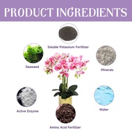 Hot selling Orchids Plant Concentrated Nutrient Solution Universal Organic Fertilizer Garden Flower Fast Rooting Plant Growth Enhancer