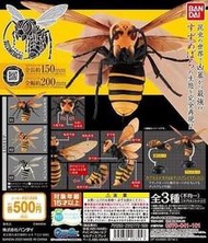 《新幹線》BANDAI 生物大圖鑑 胡蜂 初代 日版 環保 轉蛋 扭蛋 玩具 模型 蜜蜂 虎頭蜂