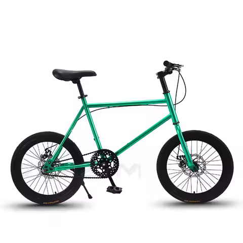 20 Inch Bike Single Speed Fixie Bike Double Dsic Brake Bicycle Freewheel Frame Mini Bicycle Height A