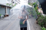 Clear Umbrella 22 Inches Wide