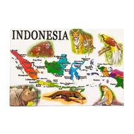 Fridge Fridge Magnet Sticker Indonesian Country Souvenir Square Map