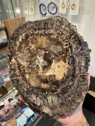 樹化玉片