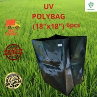 6pcs 18x18 Polybag Polibag Hitam Tebal Nursery Plantation Bag Benih Peatmoss Sawi Cili Durian