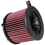 [K & N] Audi A4 B9 2017 E-0646 High Flow Exchange Type Air Filter – CS Car Palace