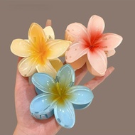 Holiday Flower Hair Clip Beach Hairpin Barrettes Accessories