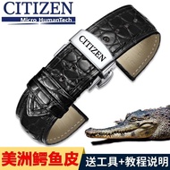 【Watch strap accessories】 Citizen Leather Strap Universal Blue Angel Light Kinetic Energy Bracelet Men's And Women's Pin Buckle Butterfly Buckle 20