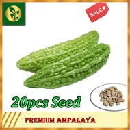 Ampalaya Seeds | Bitter Gourd Seeds | Vegetables seeds | Golden Plant and Seed Store
