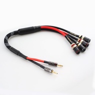 香蕉頭二分四 喇叭線 發燒級擴大機連接雙【川木】音箱線【M194】